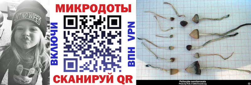 магазин    mega онион  Псилоцибиновые грибы ЛСД  shop как зайти  Обнинск 